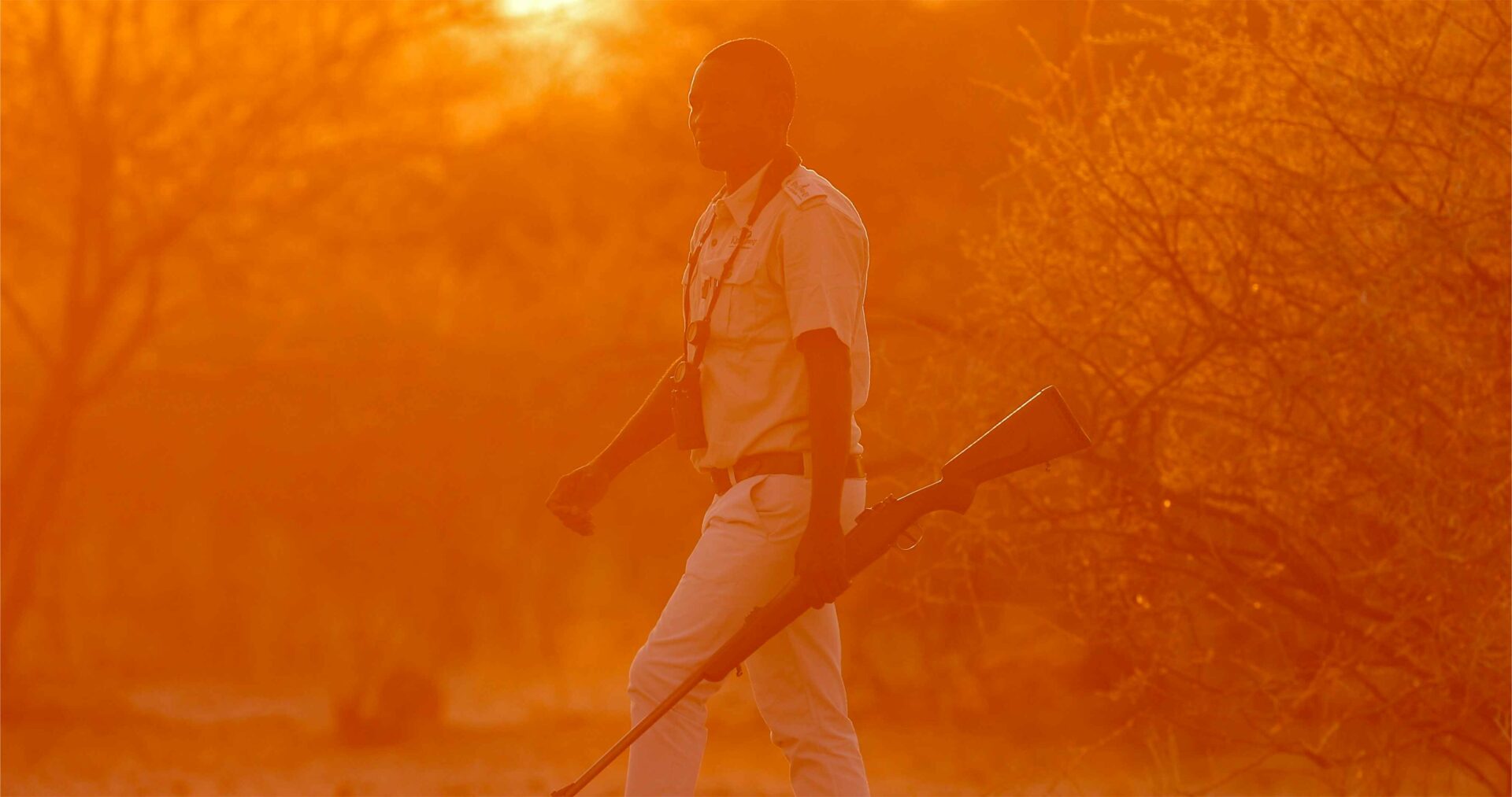Walking safari at sunrise at Maxa Okavango