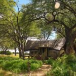 Exterior view of a guest tent at Sediba Sa Rona in the Okavango Delta, set beneath large mature trees with lush greenery and a sandy path leading to the entrance.