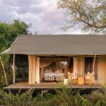 The exterior view of the tented rooms at Nkasa Linyanti