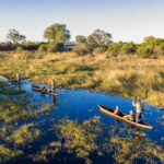 A traditional dugout canoe, mokoro, guided through the wetlands by a poler with guests at Nkasa Linyanti