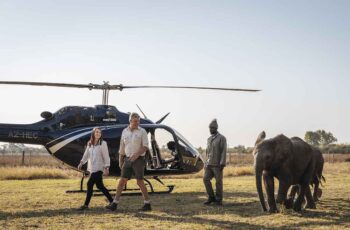 Visitors to elephant havens sanctuary arrive by helicopter