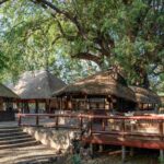 Thatched main area with decked walkways in Tuli Safari Lodge Mashatu