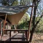 Classic stylish safari tent on raised wooden decking at Tuli Safari Lodge Mashatu.