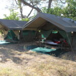 The family tents at Harkness Safaris comprose of walk in meru-style tents linked by an ensuite bathroom at the back of the tents