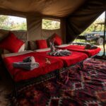Family safari tent with twin beds, colourful furnishings and views of a safari vehicle outside.