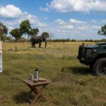 Guest enjoying a safari tea stop while observing an elephant in open grassland.
