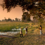 Sunset mokoro experience in the Nxabega concession of the western Okavango.