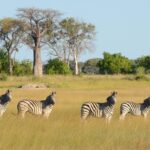 The beautiful landscapes around Karangoma are rich and varied