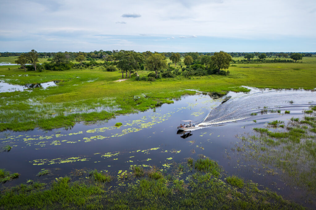 Boat safari moving through waterways in the Okavango Delta Botswana