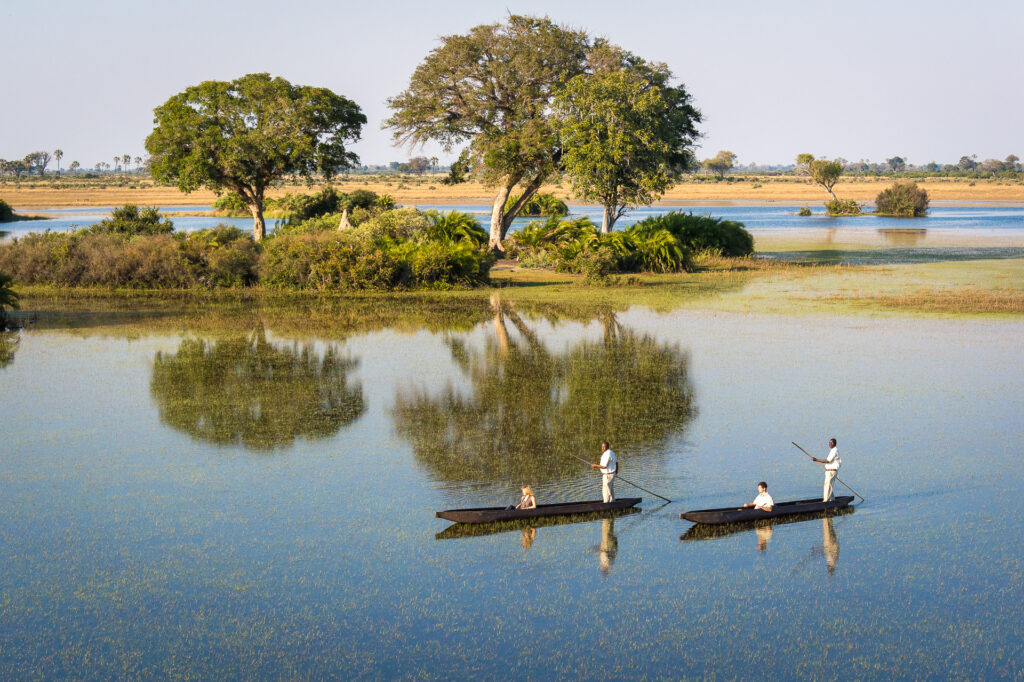 Mokoro safari in the Okavango Delta during high water levels in the 2026 flood season, Botswana
