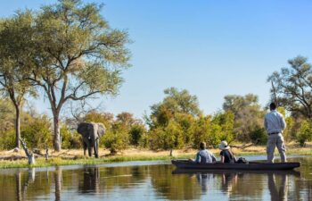 Mokoro safari in the Okavango Delta with elephant nearby