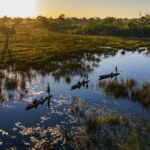 A mokoro excursions with guests through the okavango delta from mokolowane Plains camp